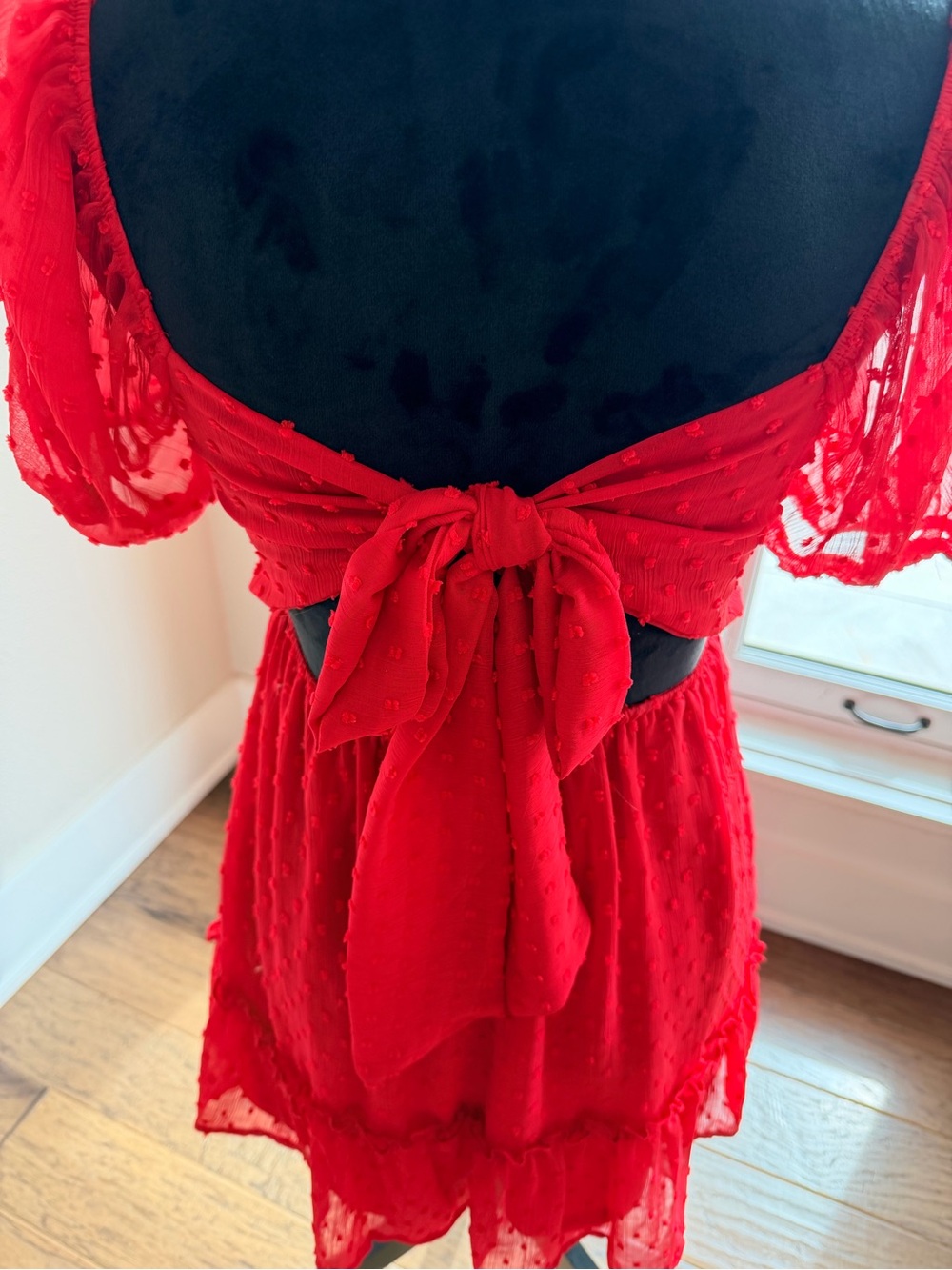 Altar'd State Red Swiss Dot Mini Dress - Picture 4 of 6